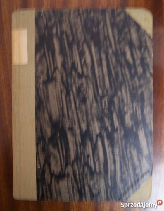 Georgij Gulia Wiosna w Sakenie 1949 społeczno-obyczajowe lubelskie sprzedam