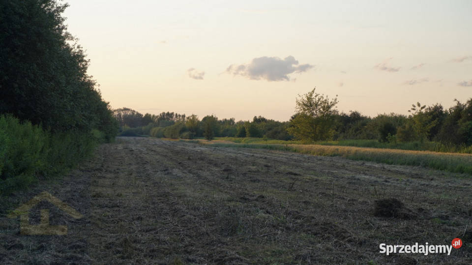 Nieruchomość w Nadbrzeżu polna mazowieckie