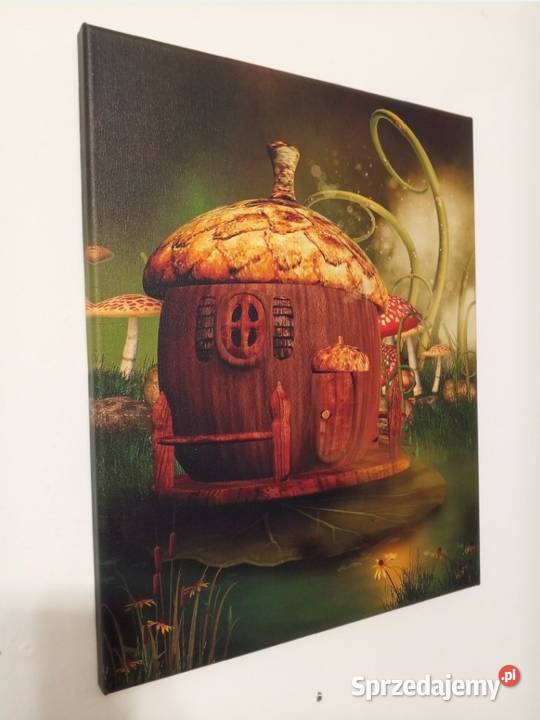 Obraz dziecięcy 50x40 2 SZTUKI Biała Rawska