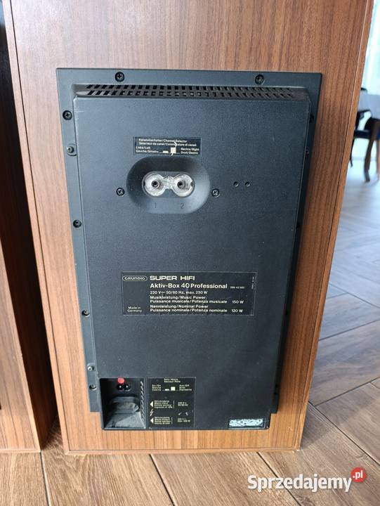 Grundig aktiv box 40 professional Przemków