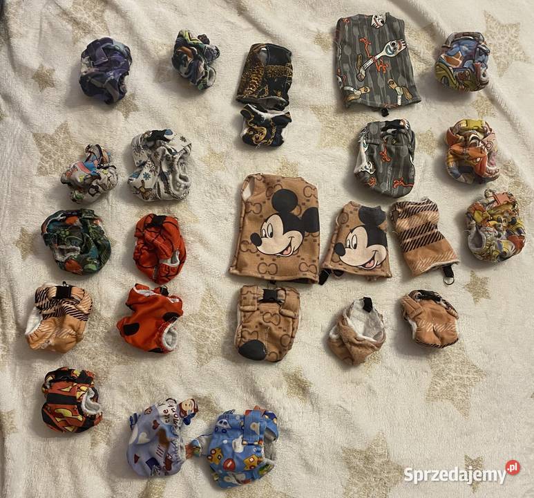 Na sprzedaż marmozeta białoucha samiec Borkowo