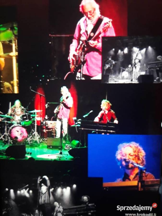 KROKODIL powraca KROKODIL Livetime 20242 LP Rzeszów sprzedam