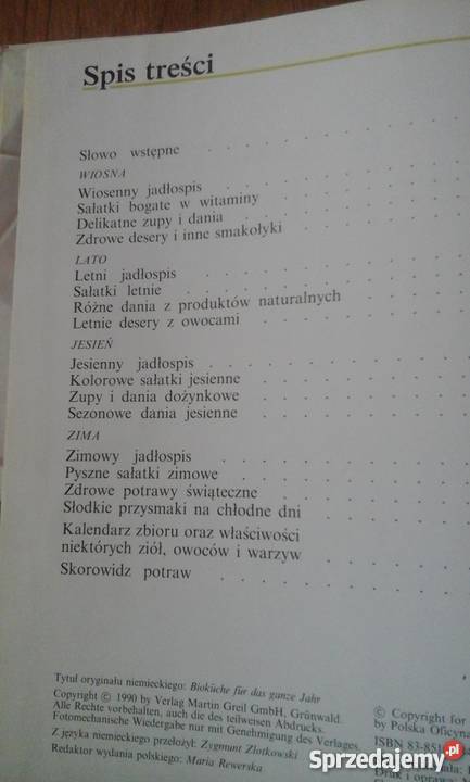 Pizza i tosty Zdrowa kuchnia Gliwice