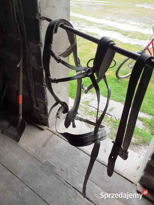 Uprzaz konia mazowieckie Stary Gózd sprzedam