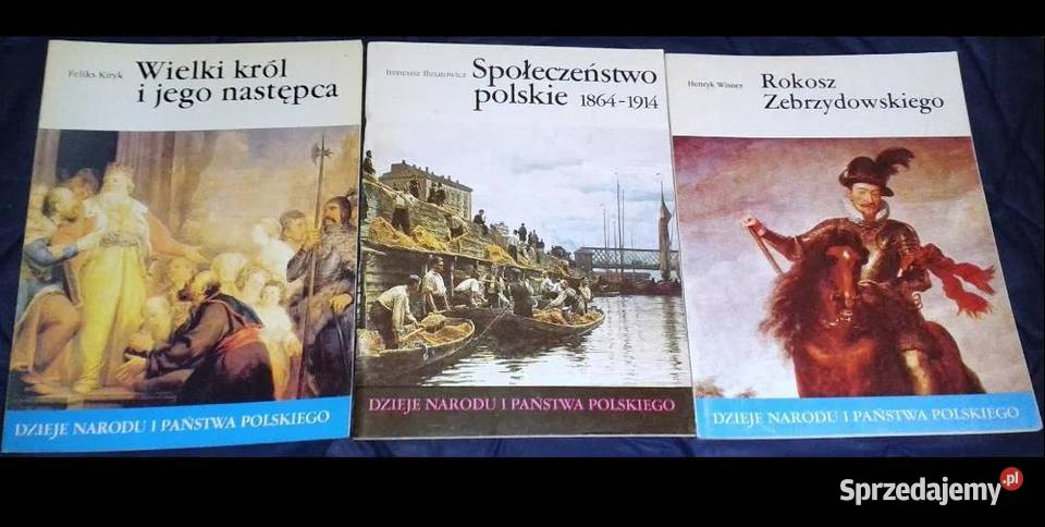 Dzieje Narodu i Państwa Polskiego 30 zeszytów miękka Chełm sprzedam