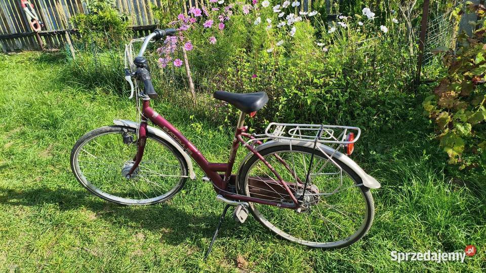 Batavus Gazelle Miejskie Domasławice