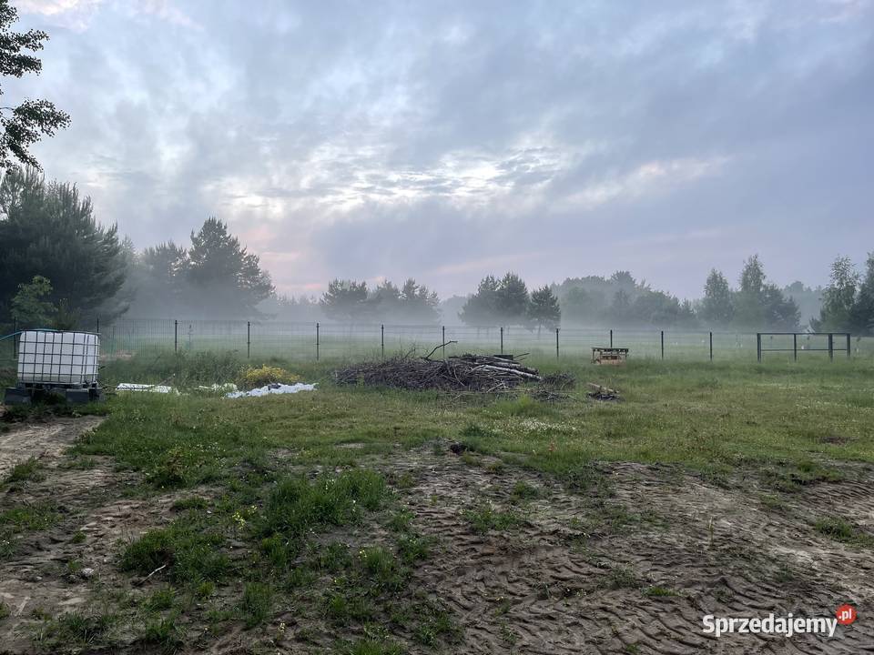 Dom na działce 96 arów mekintosz 10 lubelskie Słotwiny sprzedam