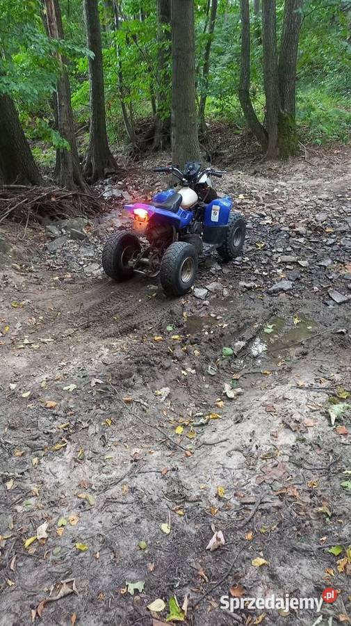 Quad 50 AEON SPRAWNY DWUSÓW Bieliny