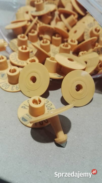 TRZODA kolczyki świń wytrzymałe agencyjne Grzymała