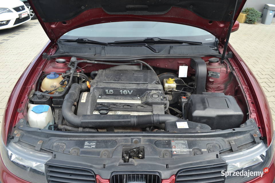 Seat Toledo z Niemiec OPŁACONY3