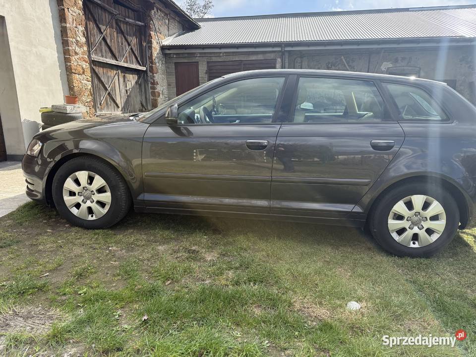 Audi A3 sportback 16TDI 105 manualna Przedbórz