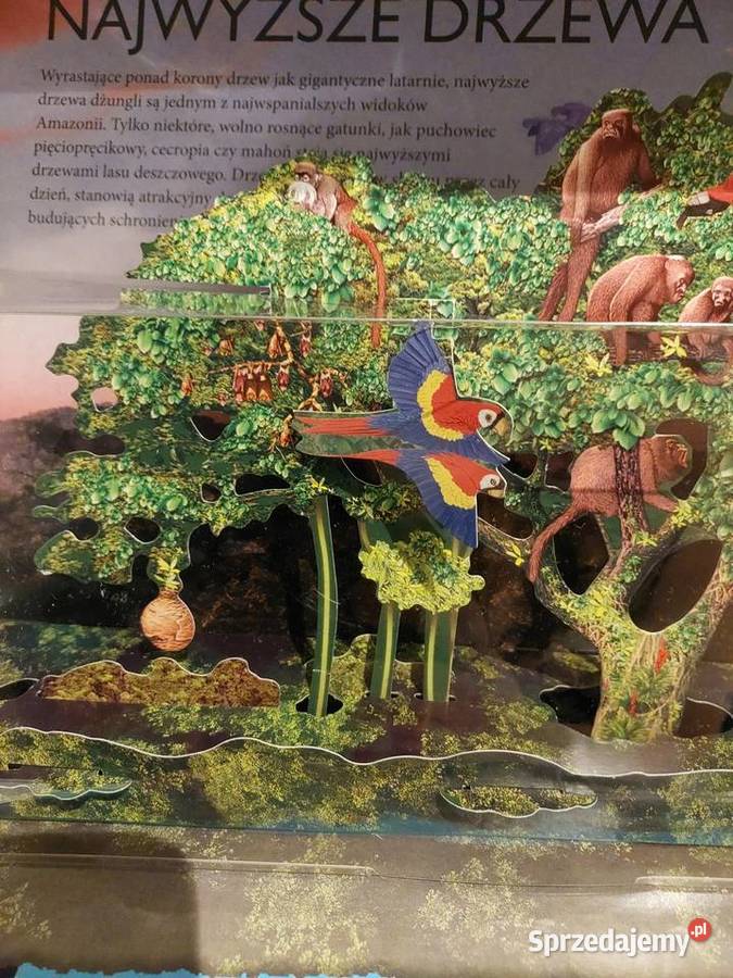 Odkrywca 3D Niesamowita dżungla Jane Green Wrocław sprzedam