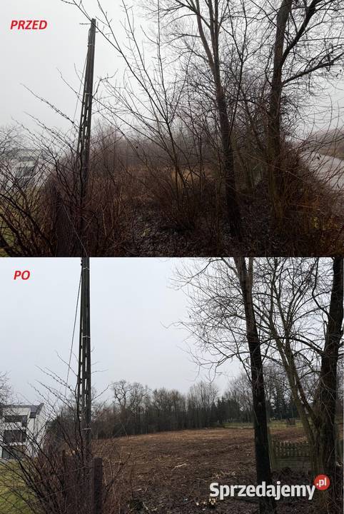 Mulczer leśny wgłębny powierzchniowy Karczowanie małopolskie