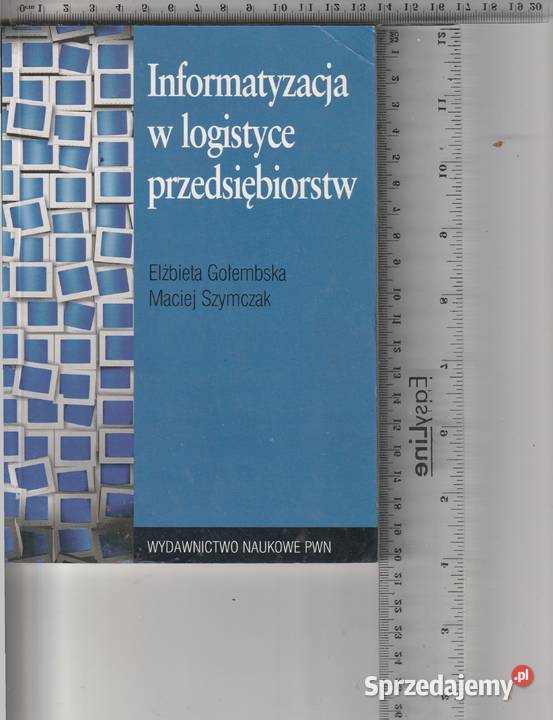 Informatyzacja w logistyce przedsiębiorstw mazowieckie