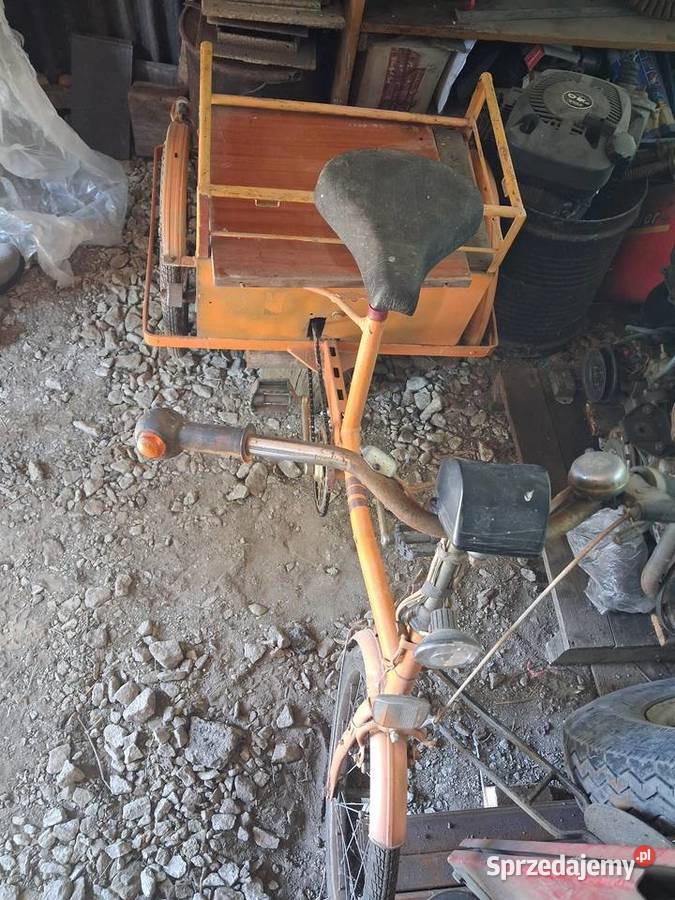 Rower wózek elektryczny Pastewnik