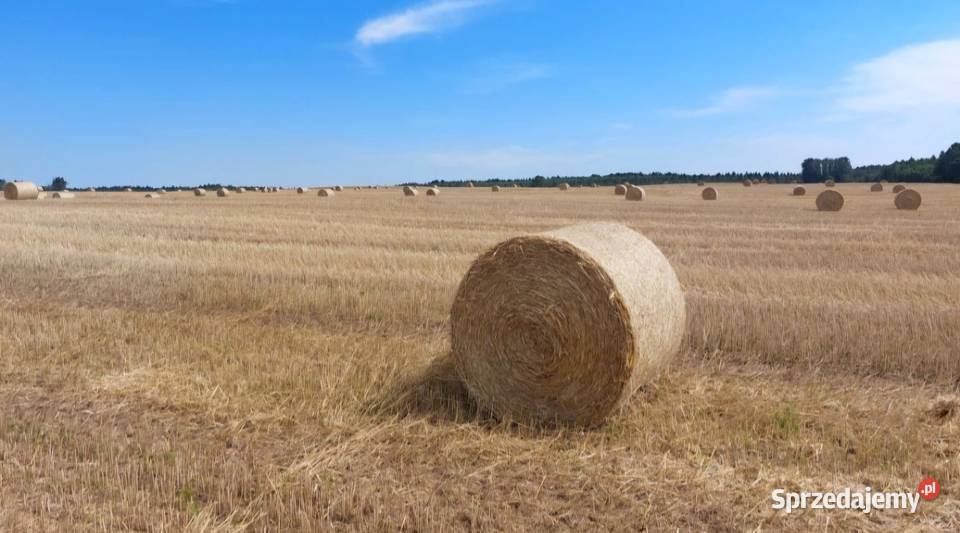 Słoma siano