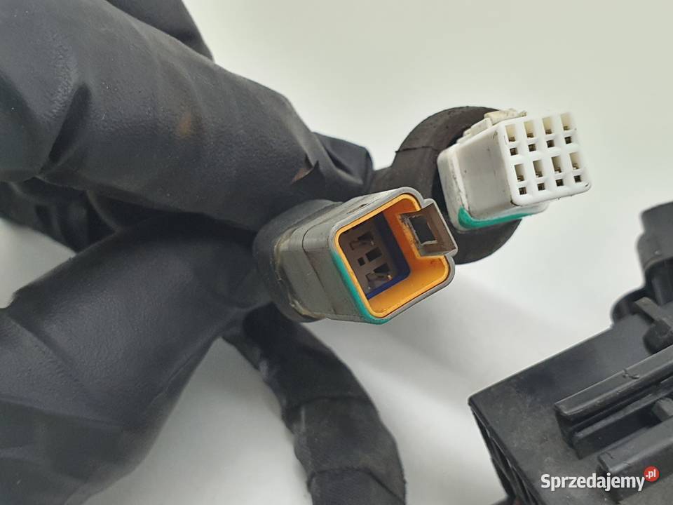 SKRZYNKA PUSZKA BEZPIECZNIKOW WTYCZKA DUCATI łódzkie