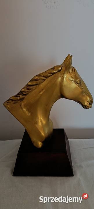 Głowy konia wykonane z mosiądzu Tarnów