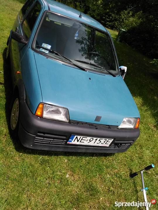 Cienias tanio kupiony w Polsce Wilczęta sprzedam