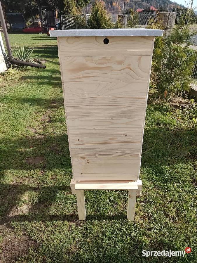 Ule Wielkopolskie na ramke 18 Sucha Beskidzka