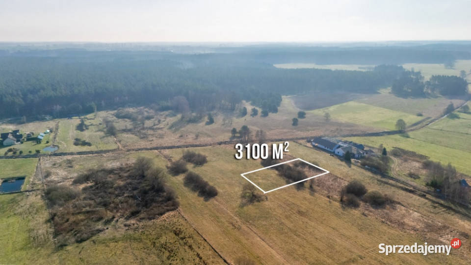 Działka w zielonej okolicy z wydanymi warunkami Szczecin