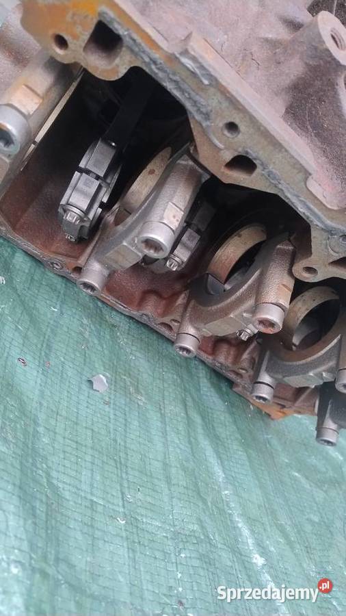 FORD TRANSIT MK8 CUSTOM 20 EcoBlue TDCI blok Obrzycko