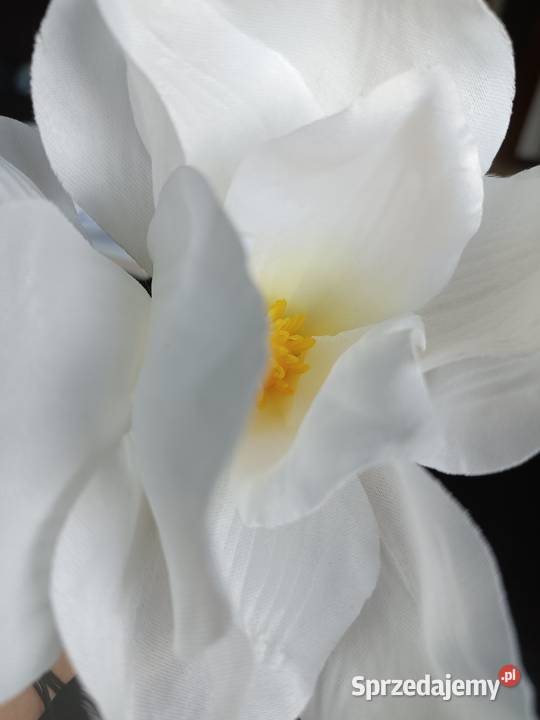 MAGNOLIA MINI VIP 61021 główki wyrobowe białe Siewierz