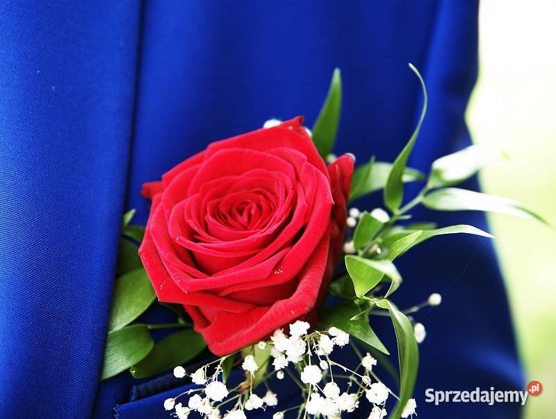 fotograf na ślub zdjęcia plenerowe kujawsko-pomorskie Grudziądz