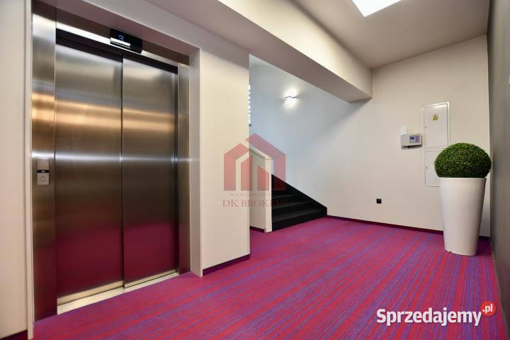 sprzedaży lokalu Dębica Wielopolska 1305m2 1305m2 podkarpackie
