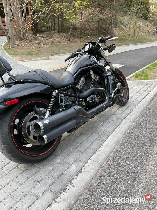 HarleyDavidson VRod Night Rod Motoryzacja Bydgoszcz