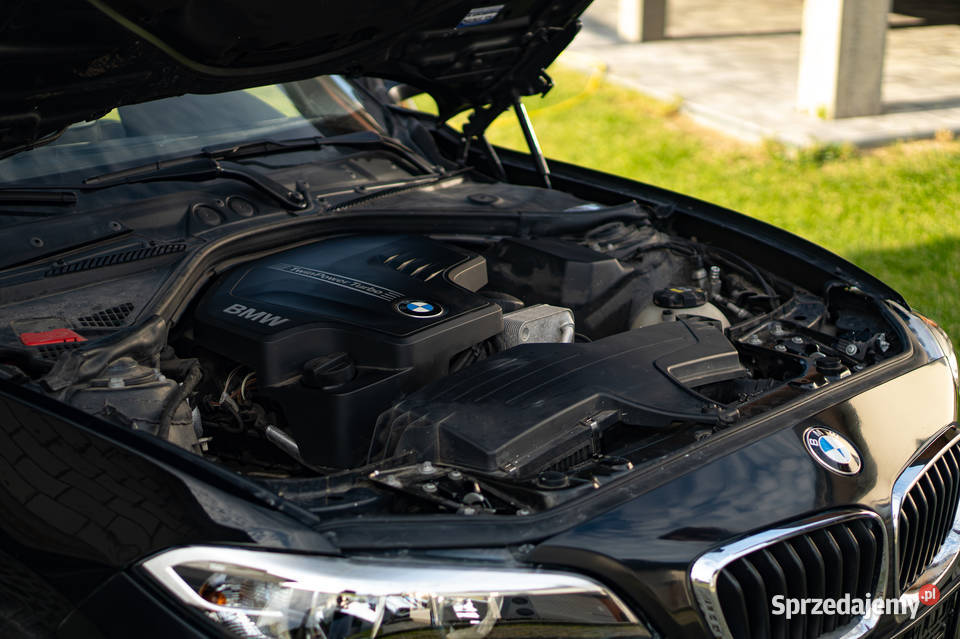 BMW Seria 2 BMW Seria 2 Coup 86000 Szarowola