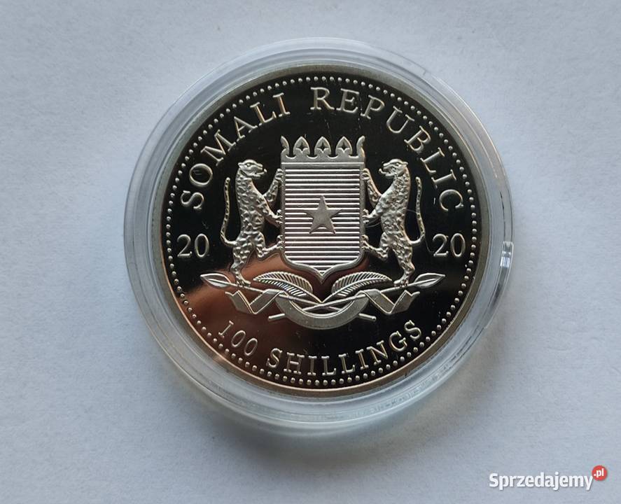 Moneta SOMALIA 100 SHILLINGS 2020 SŁONIE Pruszków