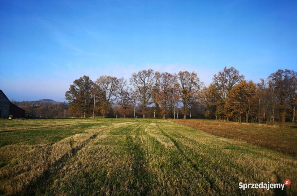Działka budowlana z widokiem na góry możliwy Grabiszyce Górne
