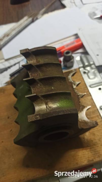 głowica z wybraniamy promieniami faba baboszewo Kłodawa