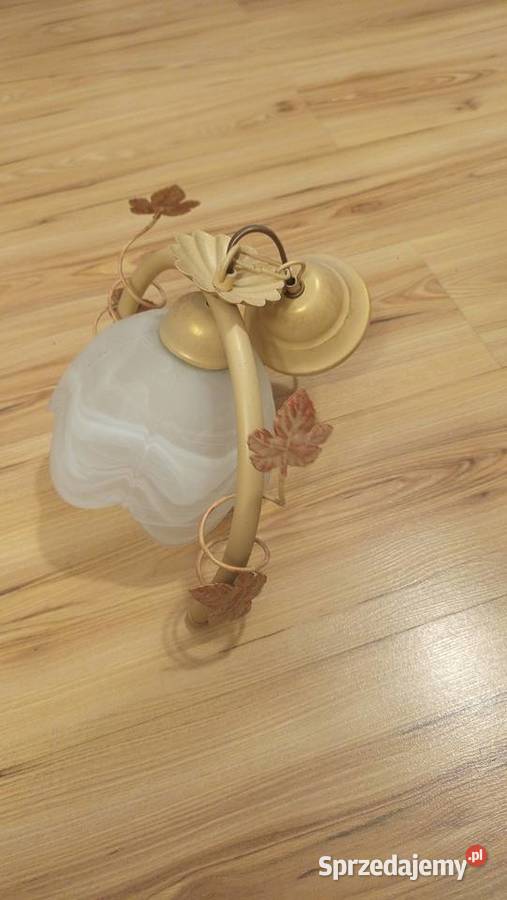 Żyrandol sufitowy podkarpackie Nowa Sarzyna