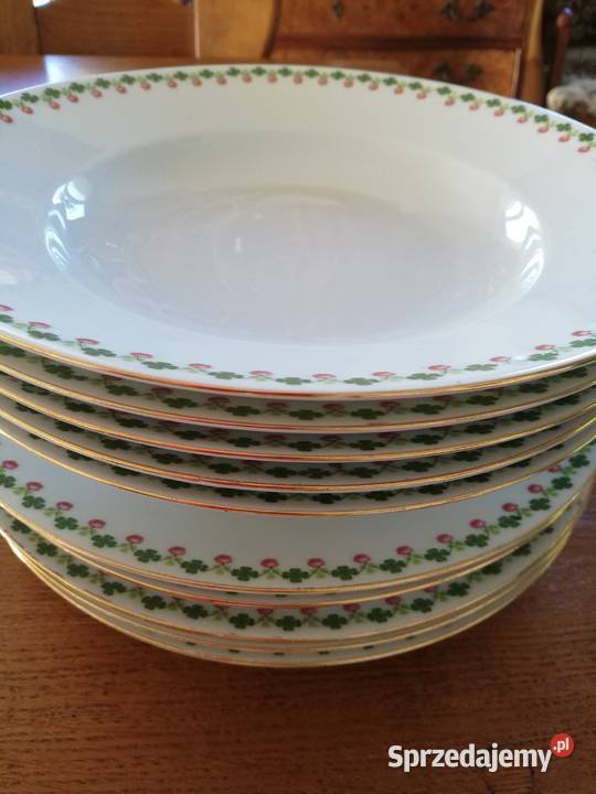 talerze obiadowe Ropa