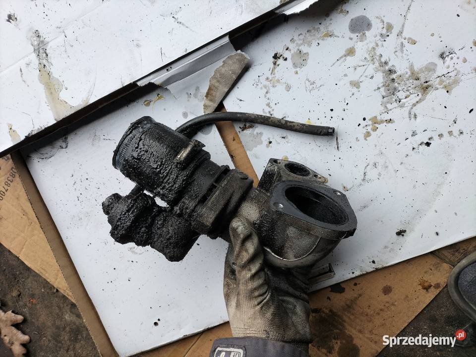 PRZEPUSTNICA PEUGEOT CITROEN FIAT 20 HDI Kamień-Kolonia
