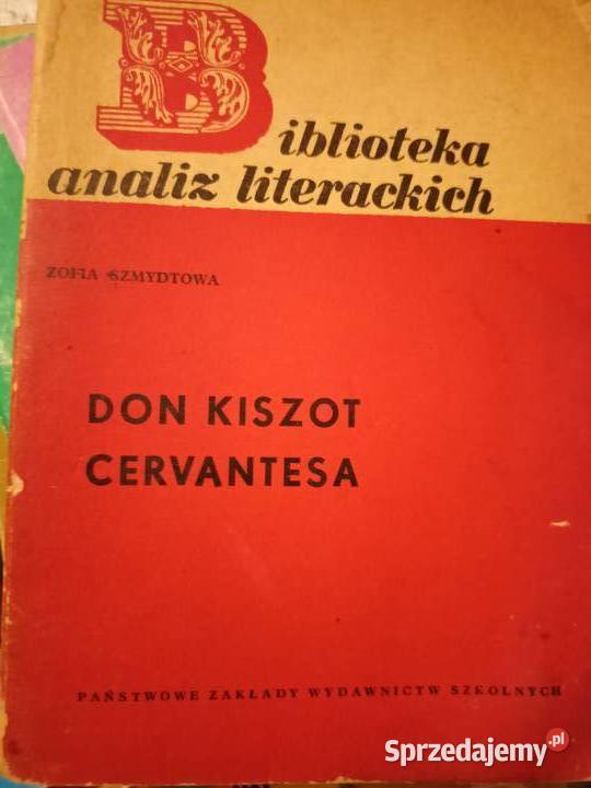 Don Kiszot Kichot Cervantes analizy lektury Warszawa