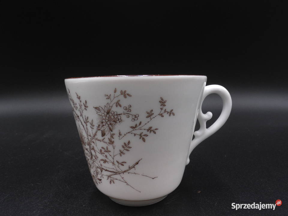 Filiżanka wiekowa porcelanowa CT Altwasser Raszków sprzedam