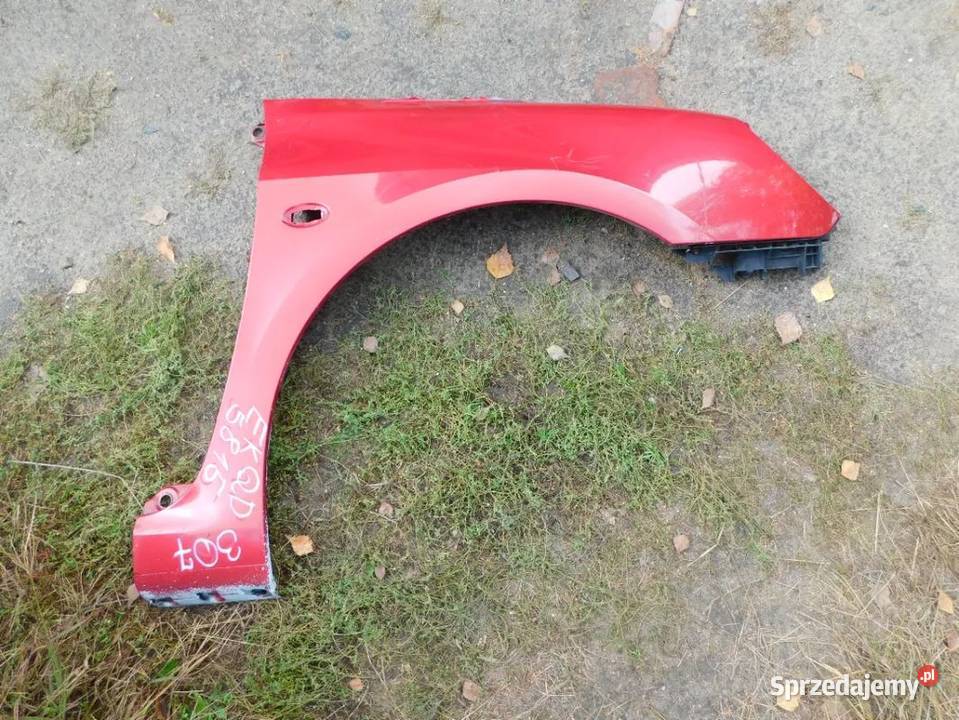 peugeot 307 błotnik kolor EKQD 5815 WYSYŁKA Żory