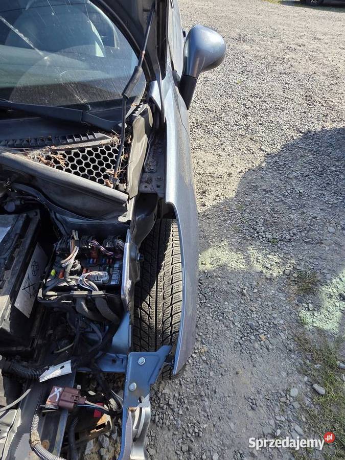 Błotnik lewy peugeot 207 Rzeszów