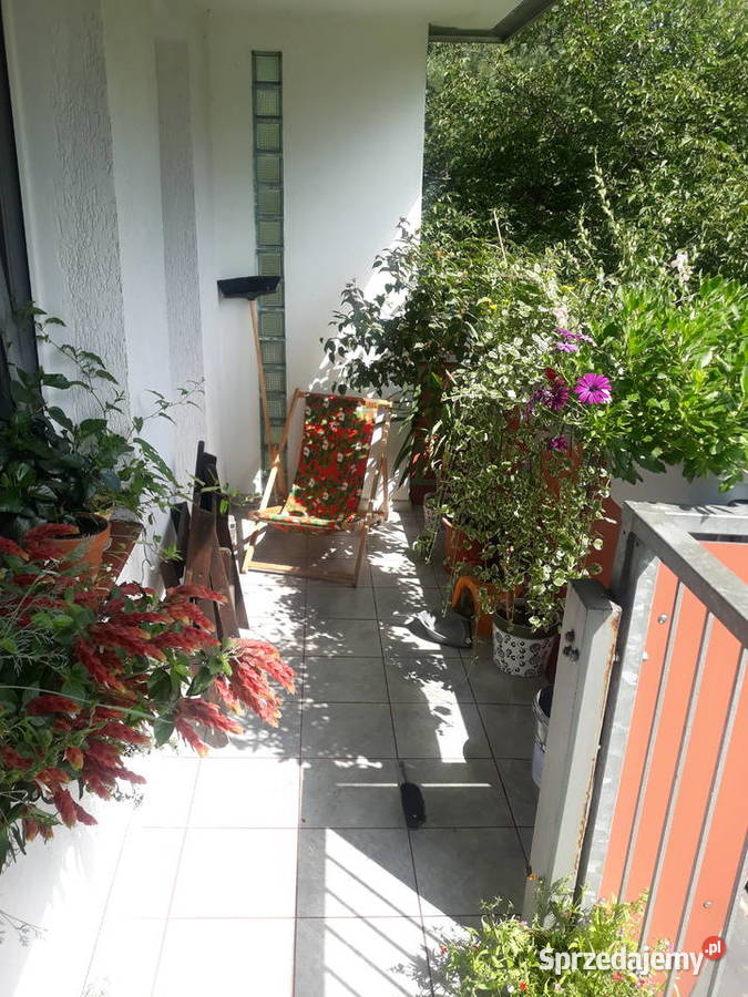 3 pokojowe mieszkanie Kraków Bieżanów Telimeny