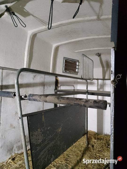 Przyczepa do przewozu koni Rybnik
