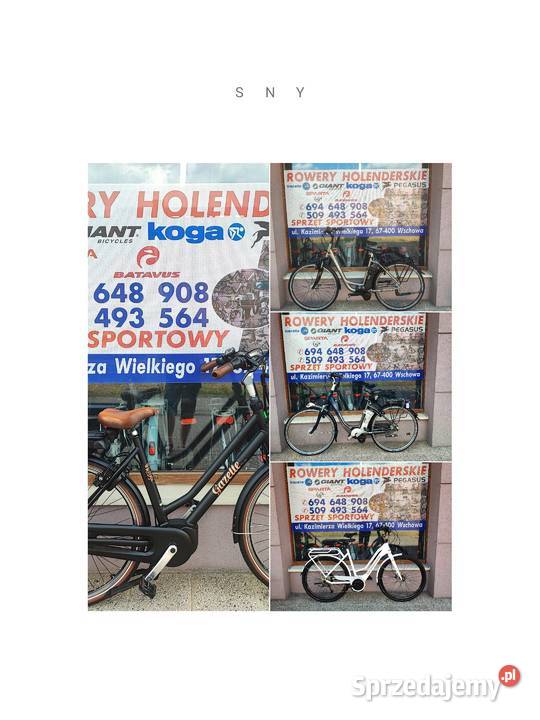 Rower Eletryczny Raleigh Rama45 Koła 26