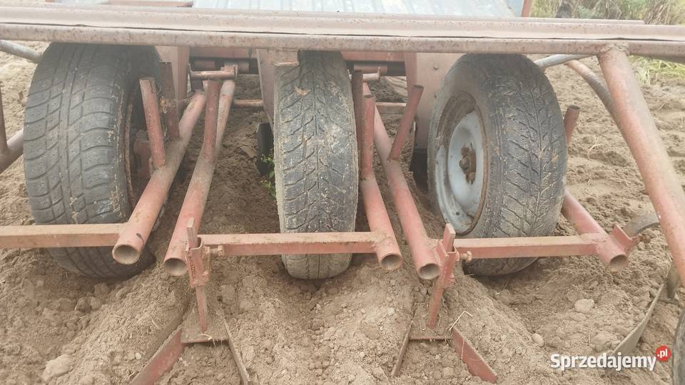 Sadzarka do mięty Siewniki i sadzarki Rząśno