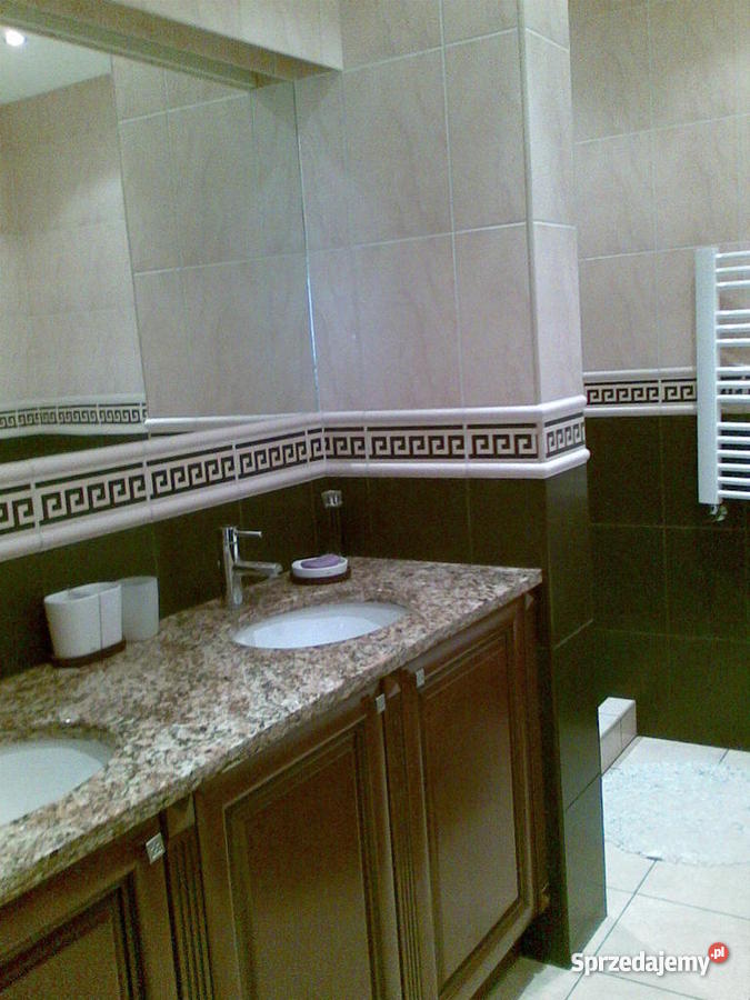 dom z dużą działką garaż Saczyn