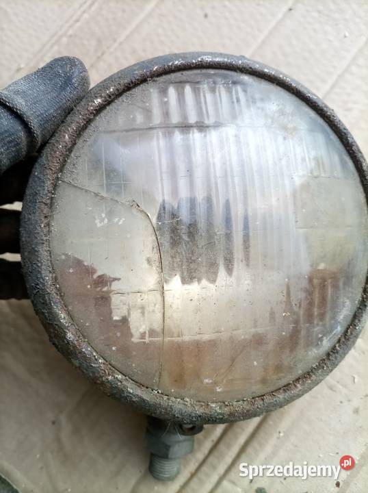 Lampy szperacz ursus