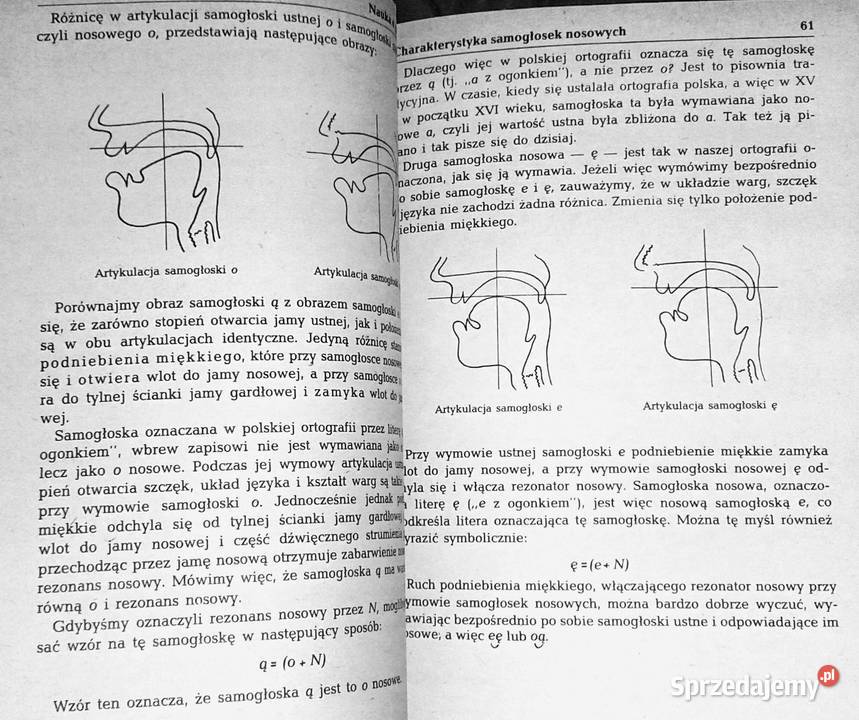 Gramatyka języka polskiego Zarys popularny Piotr