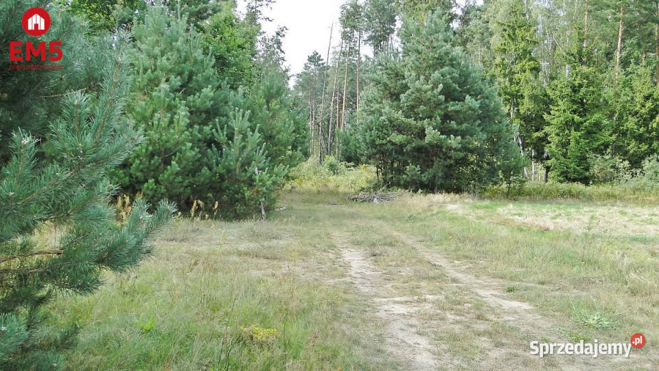 Grunt Zalesiany 10400 metrów 10400m2 sprzedam