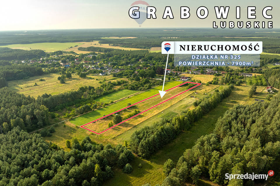 Na sprzedaż działka rolna 7900 m2 pod lasem rolna Grabowiec
